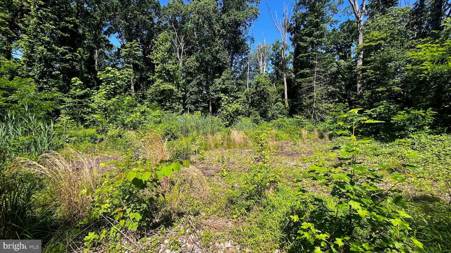 Lot 17 Vinter Ln Property Photo 16