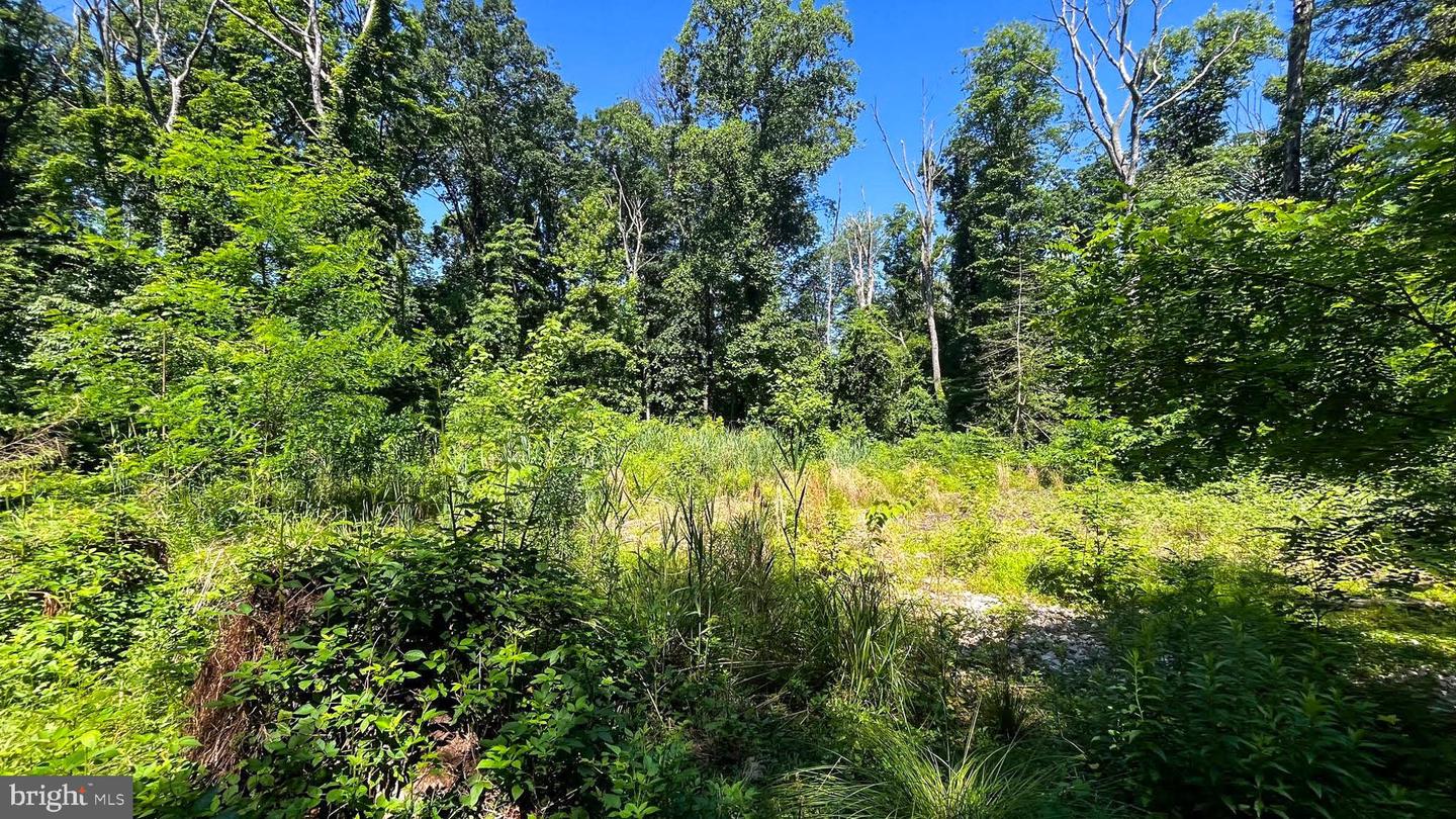 Lot 17 Vinter Ln Property Photo 17