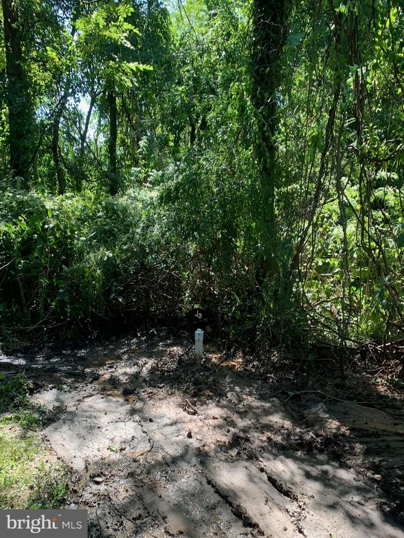 Ritchie Highway Property Photo 3