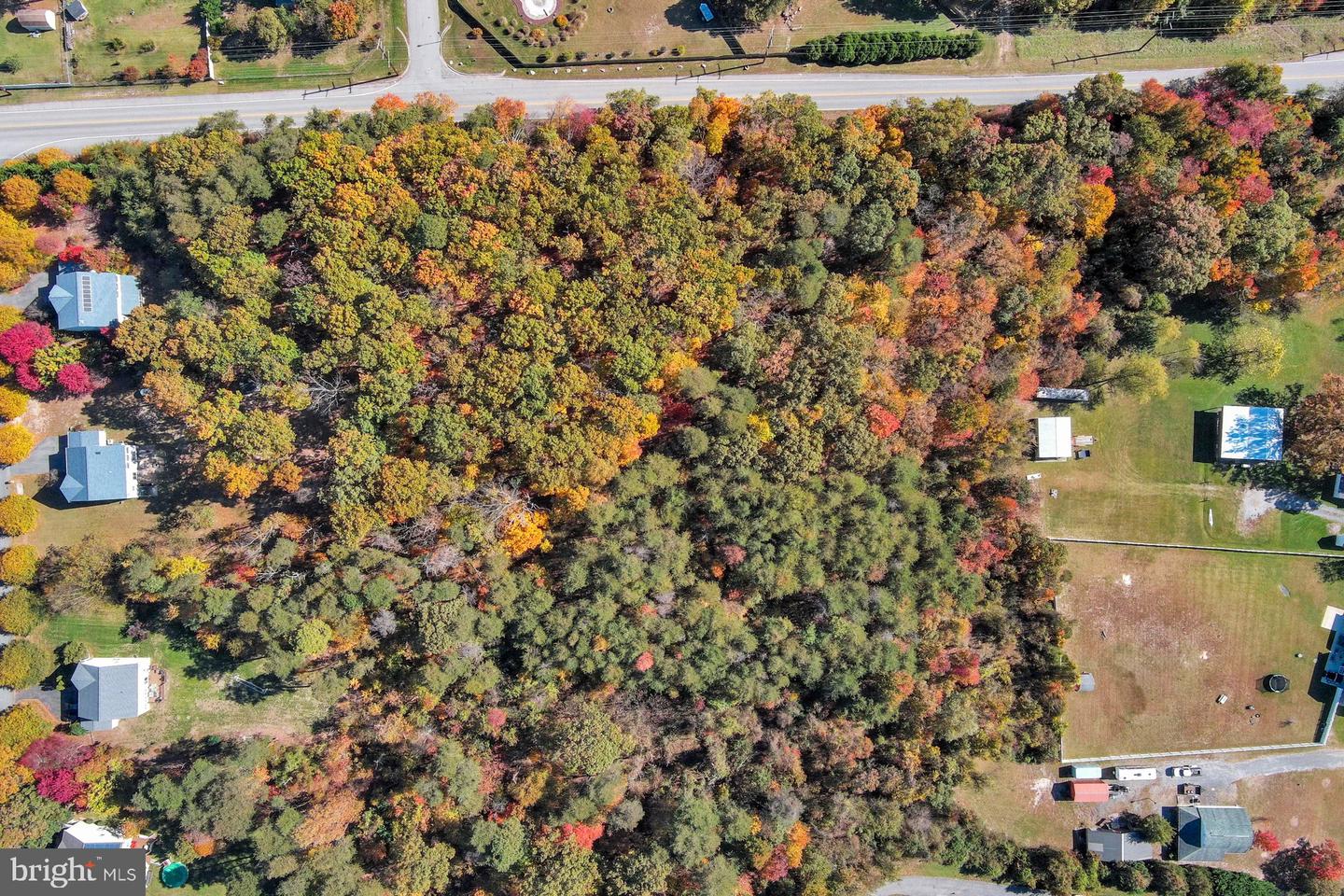 7711 Phelps Farm Ln Property Photo 4
