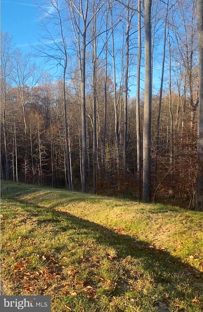 1801 Stillview Acres Rd Property Photo 93