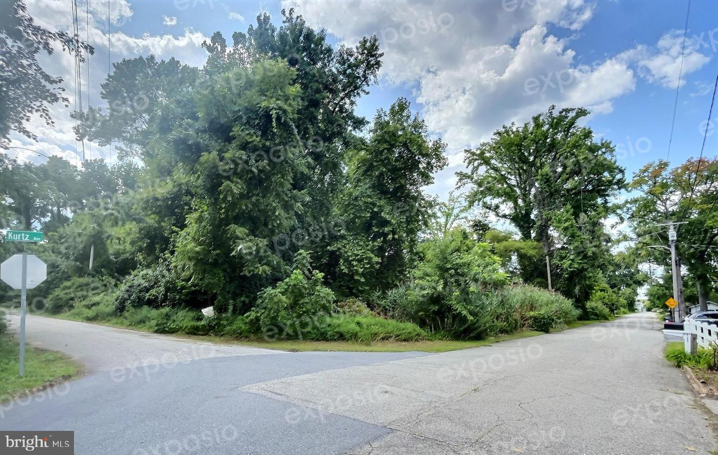 Bush Ave Property Photo