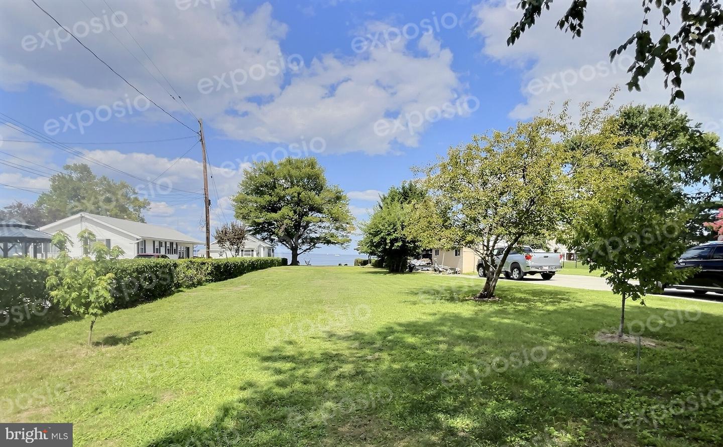 Bush Ave Property Photo 4
