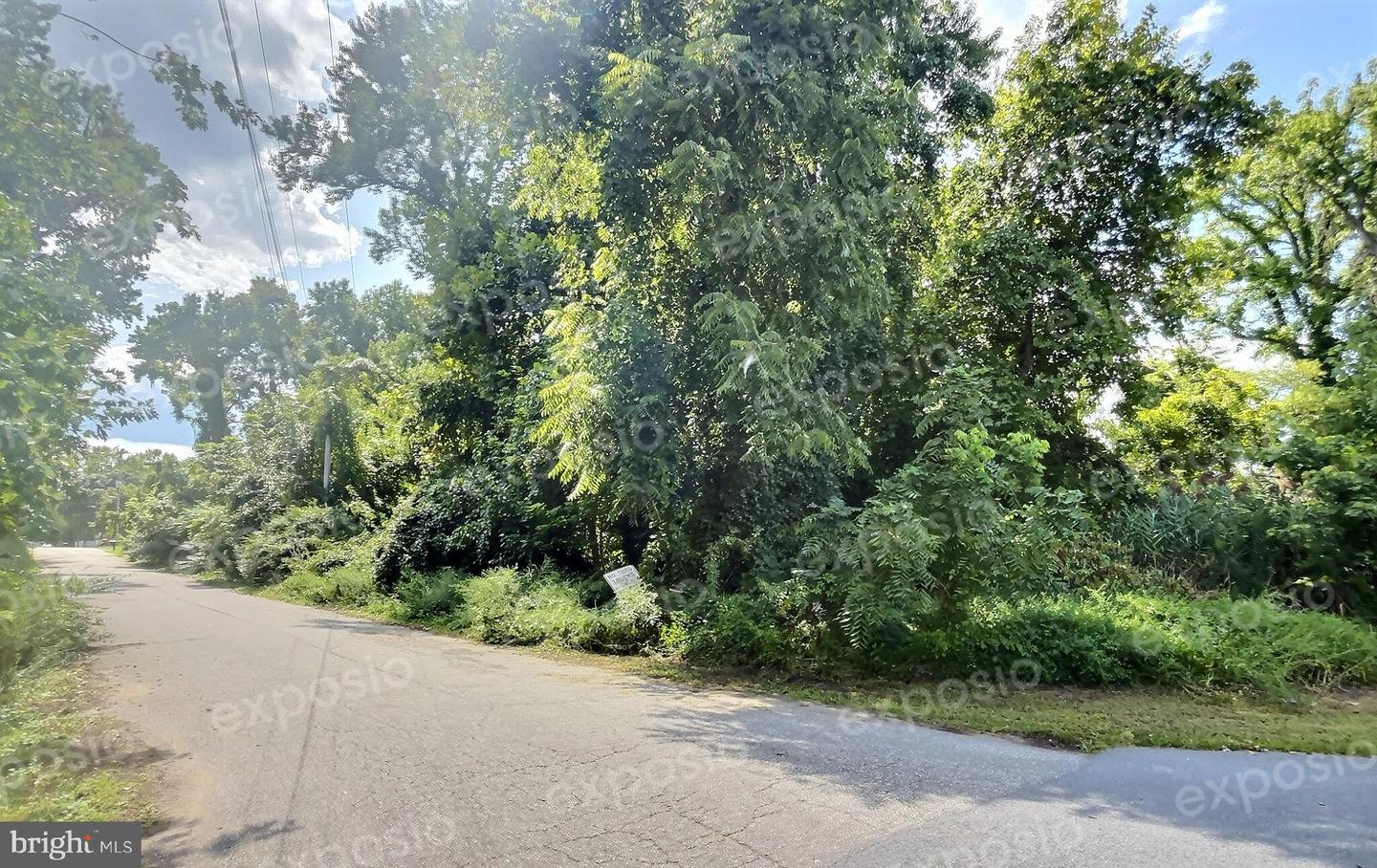 Bush Ave Property Photo 8