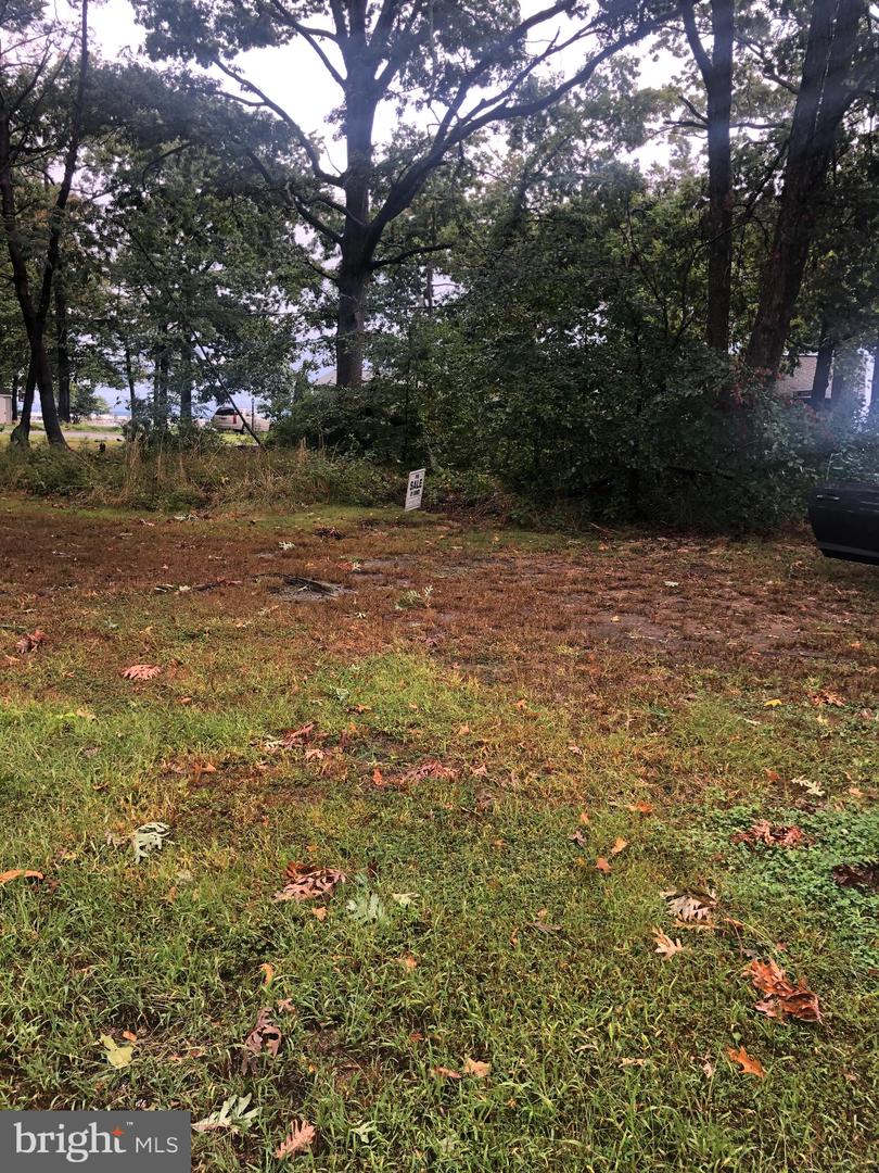 5250 Al Jones Dr Property Photo