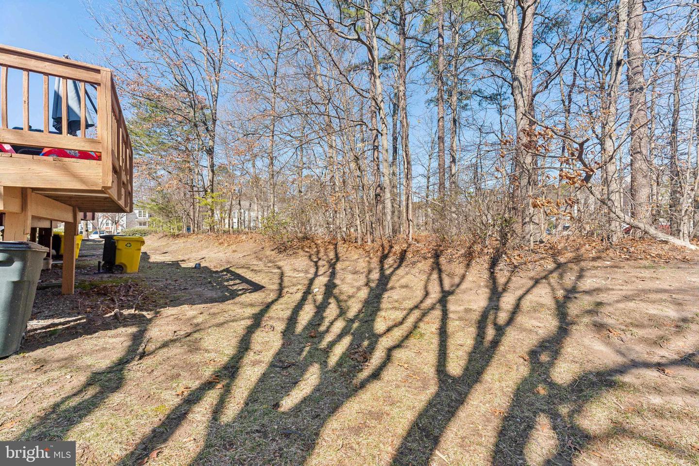 3408 Littleleaf Pl Property Photo 23