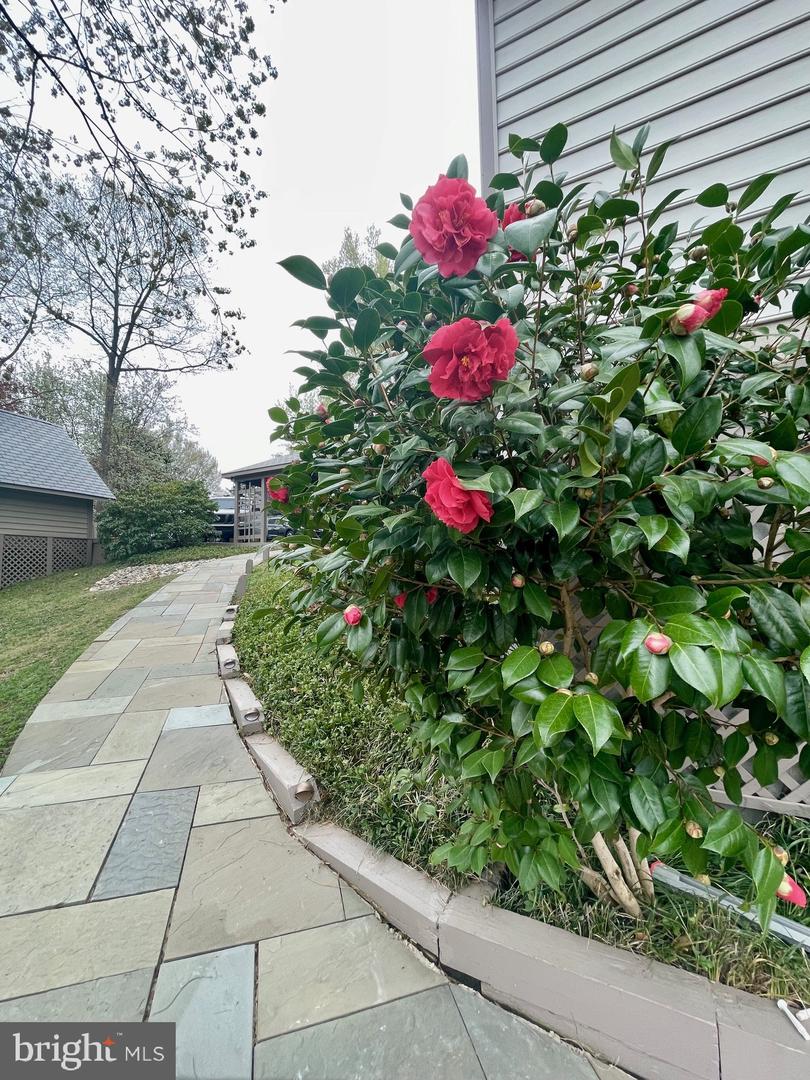 1534 Circle Dr Property Photo 41