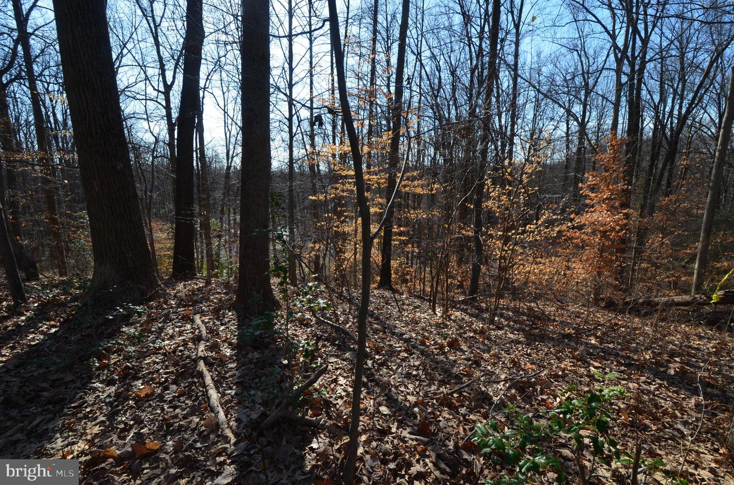 1013 Waterbury Heights Dr Property Photo 8