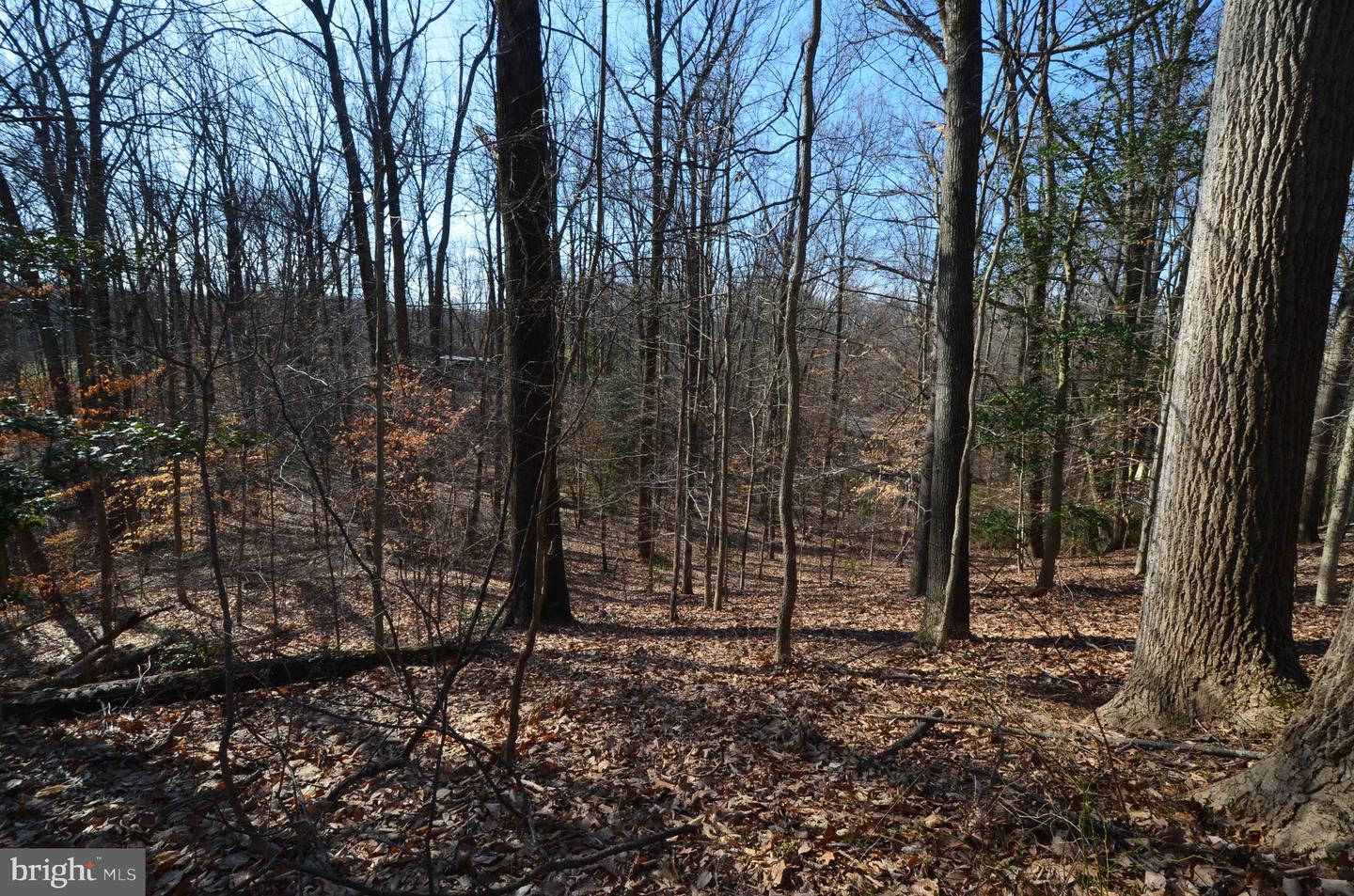 1013 Waterbury Heights Dr Property Photo 10