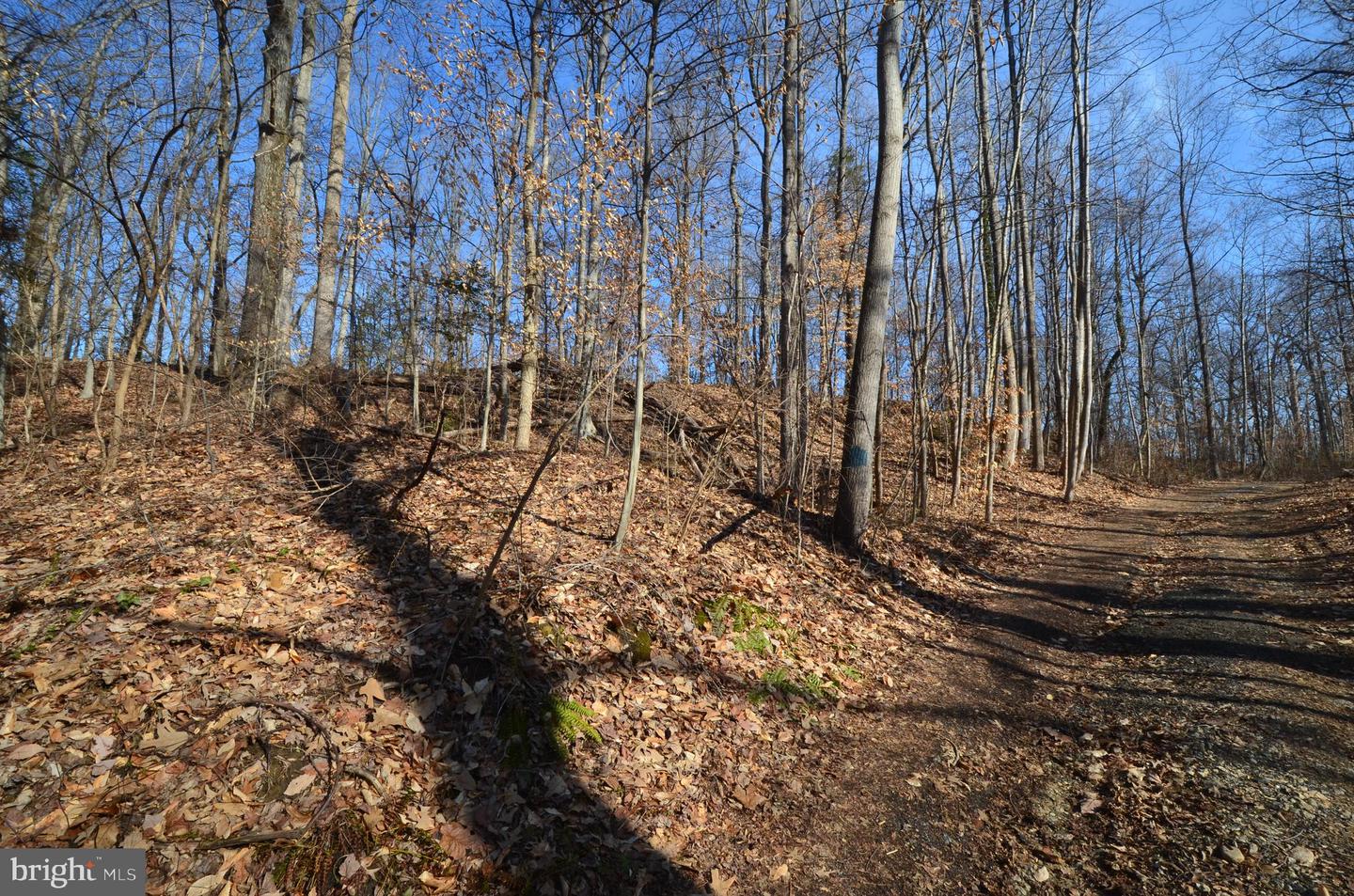 1013 Waterbury Heights Dr Property Photo 13