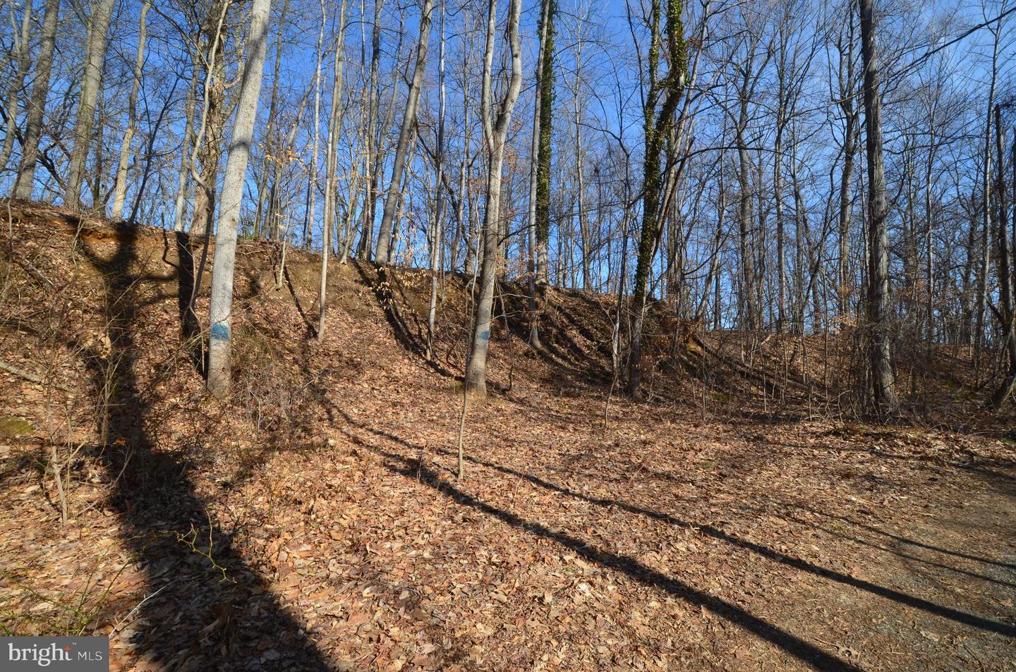 1013 Waterbury Heights Dr Property Photo 14