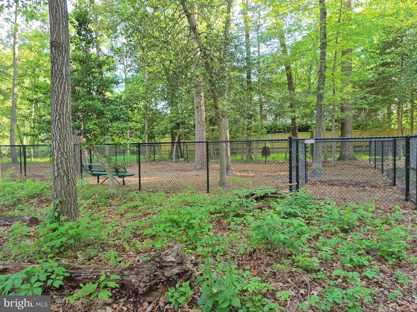 264 Capote Ct. East Property Photo 77