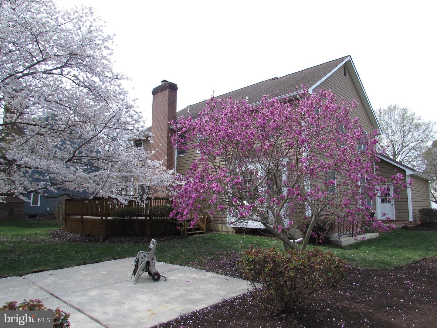 1305 Pecantree Ct Property Photo 4
