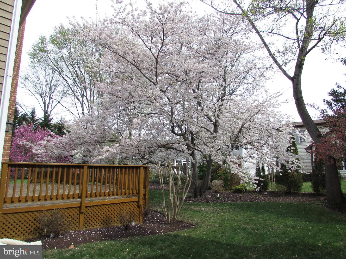 1305 Pecantree Ct Property Photo 6