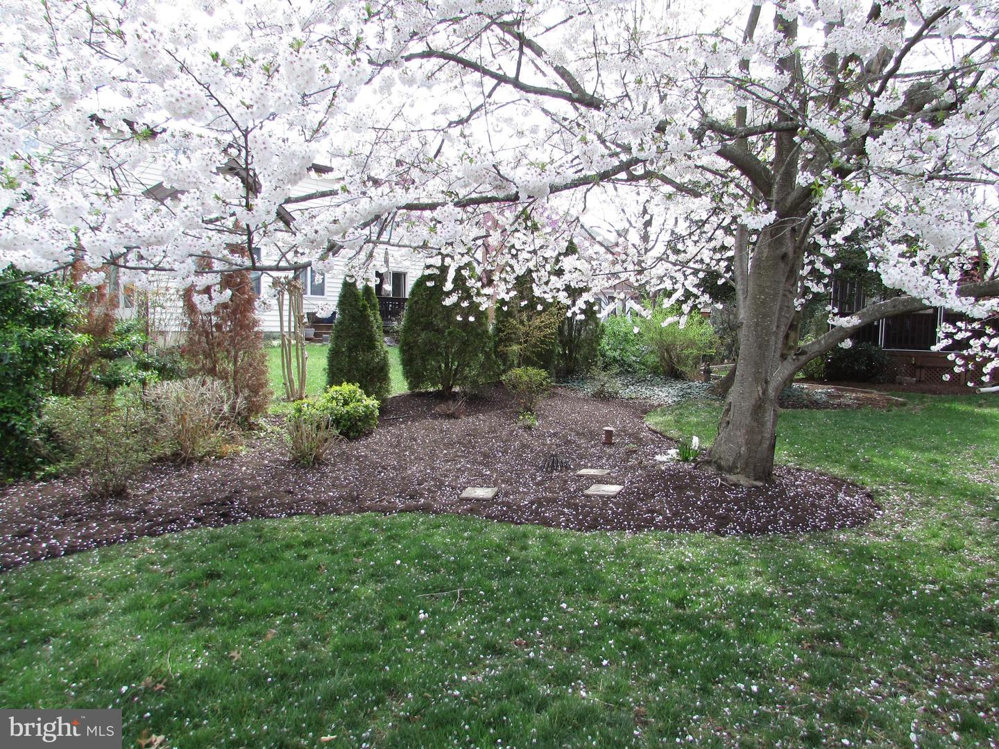 1305 Pecantree Ct Property Photo 10
