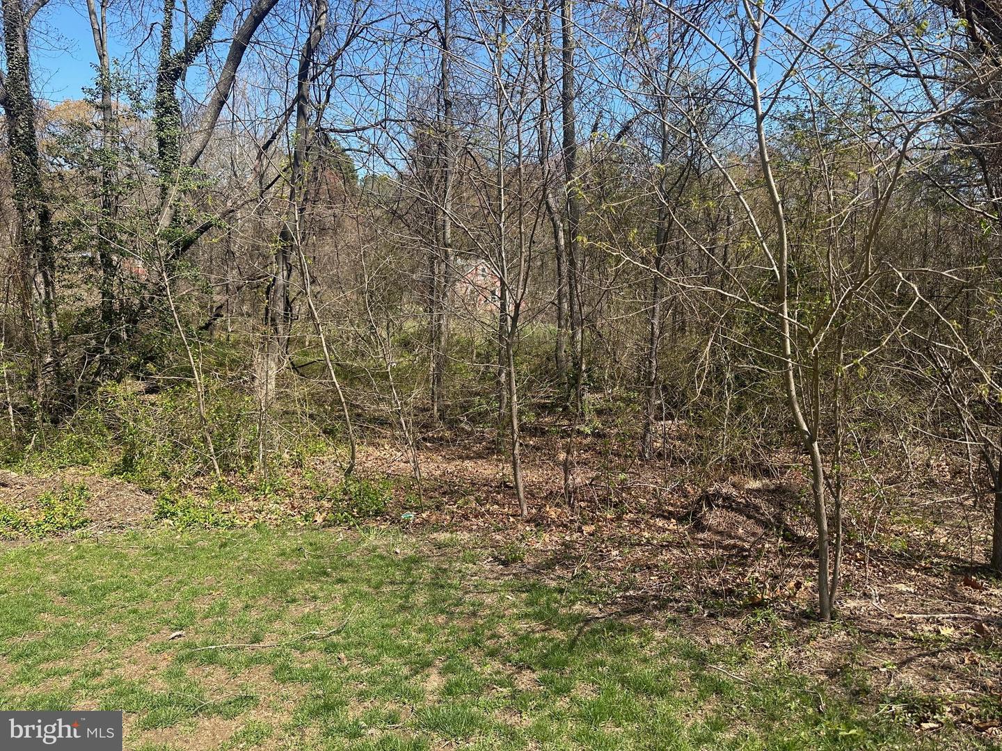 Parcel 33 Natalie Ln Property Photo 1