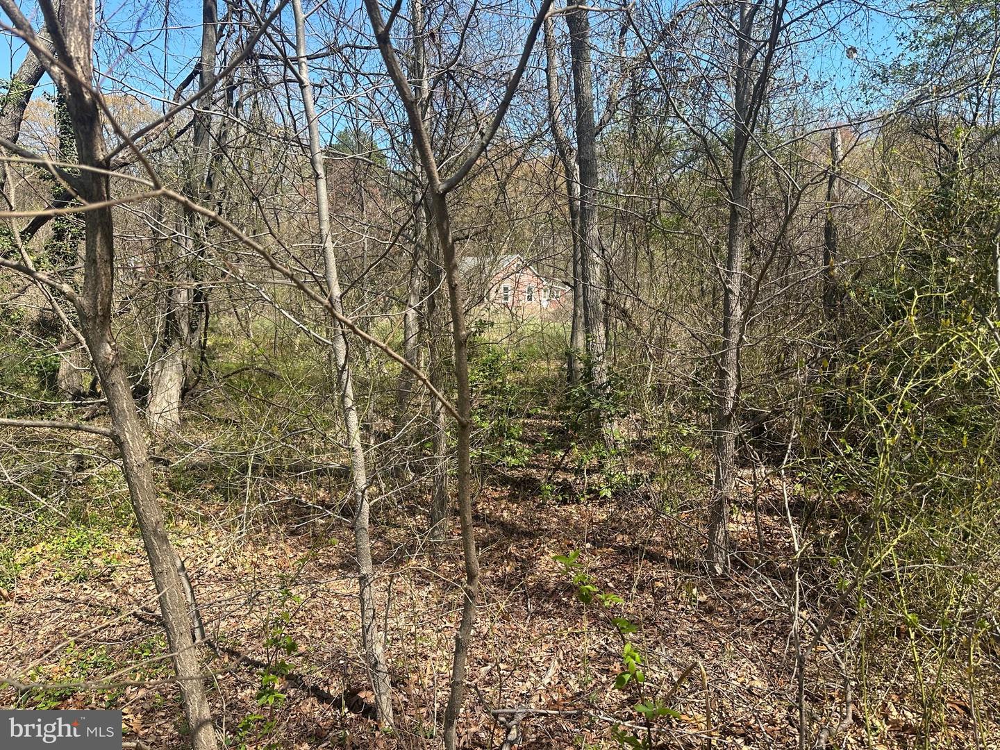 Parcel 33 Natalie Ln Property Photo 3