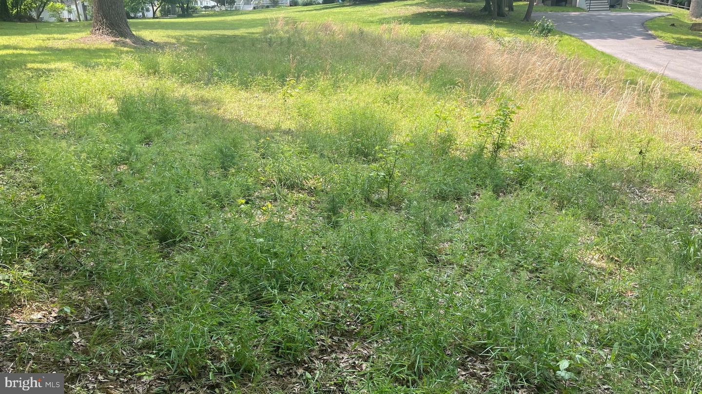 3210 Bruce Property Photo 2