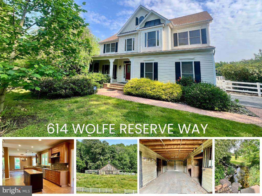 614 Wolfe Reserve Way Property Photo 1