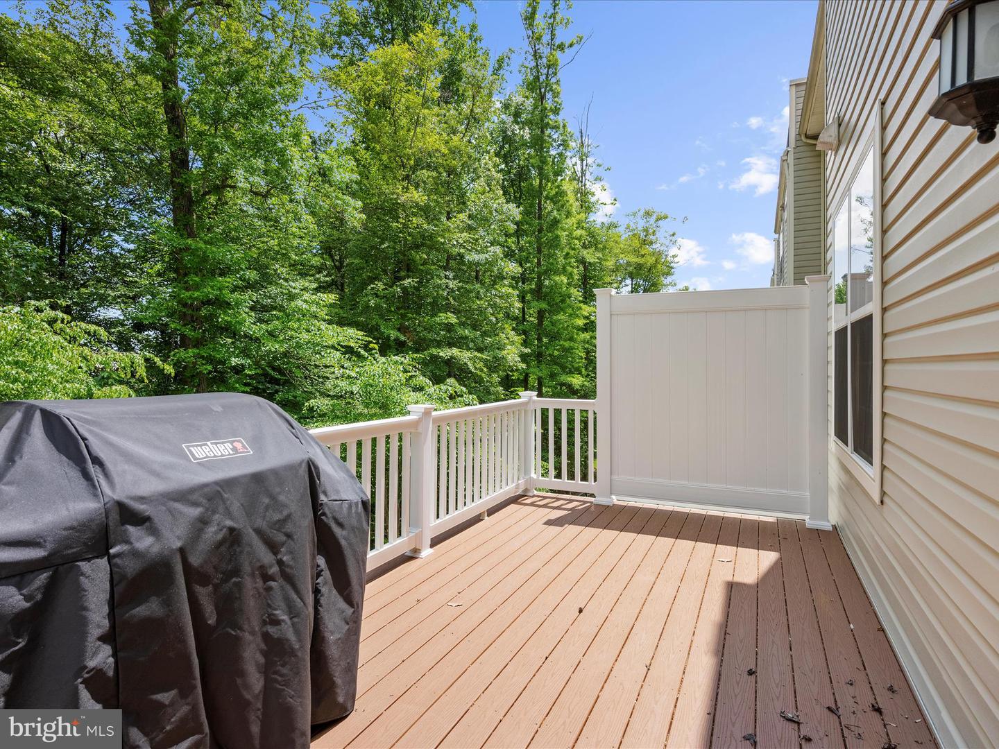 1239 Orchid Rd Property Photo 19