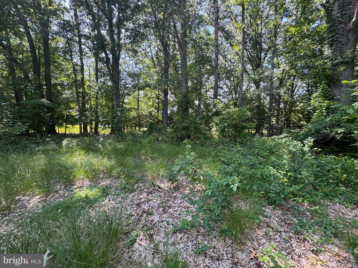 4907 Quince St Property Photo 2