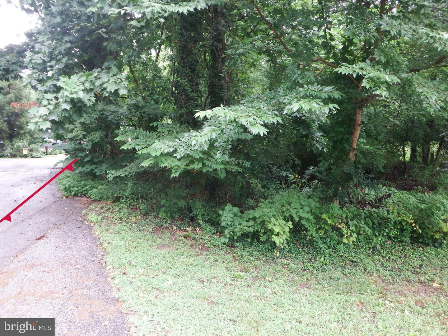 Lot 330 Second Ave Property Photo 9