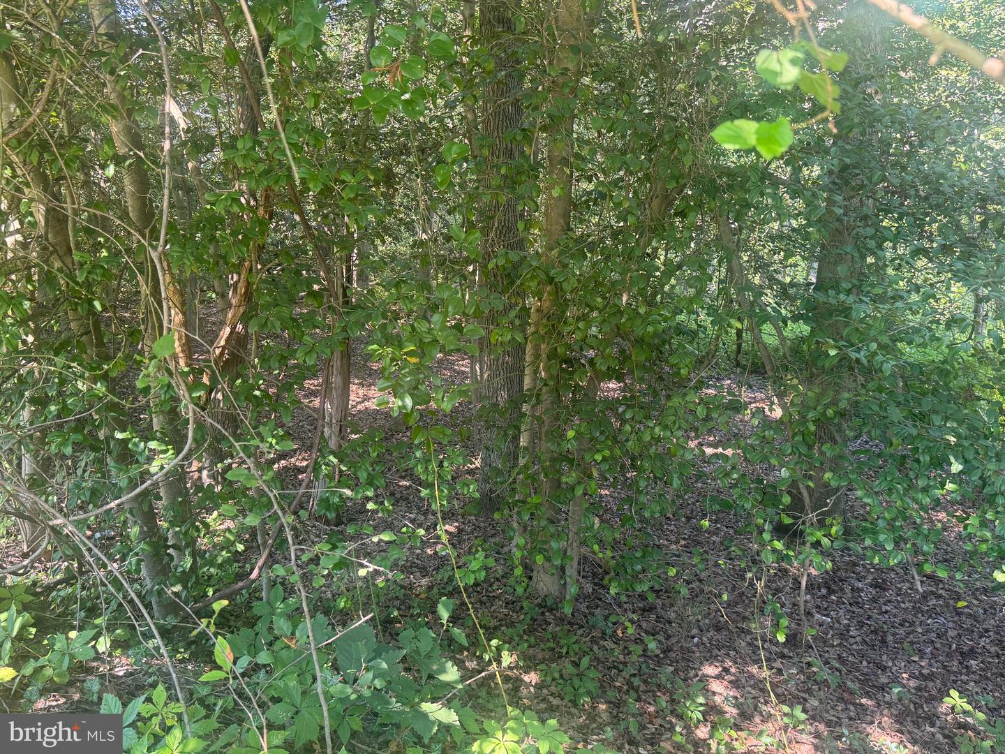 Maryland Ave Property Photo 8