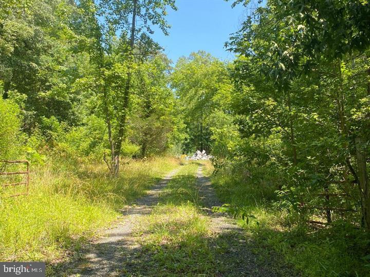 5277 Cedar St Property Photo 2