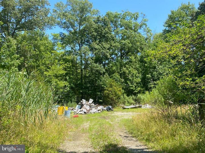 5277 Cedar St Property Photo 3