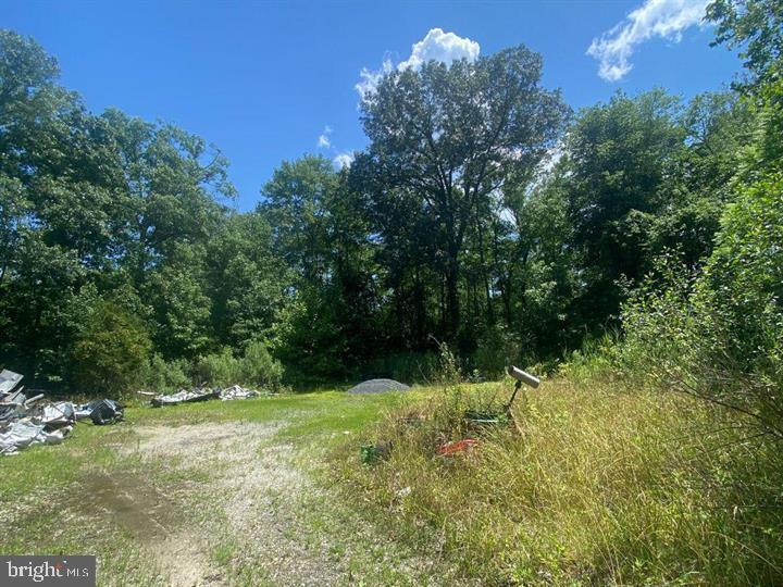 5277 Cedar St Property Photo 4