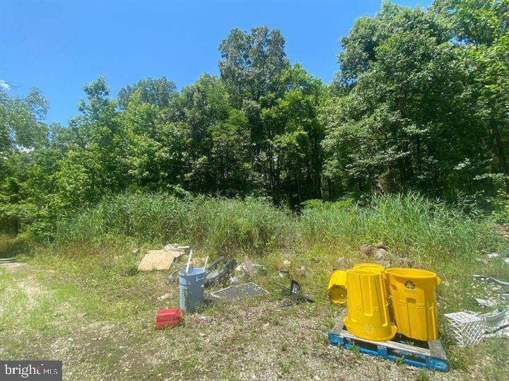 5277 Cedar St Property Photo 6
