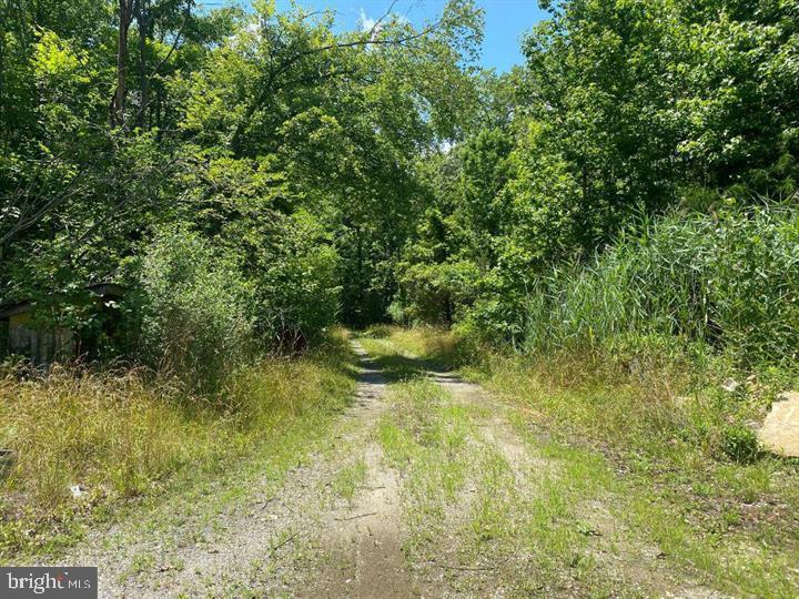 5277 Cedar St Property Photo 8