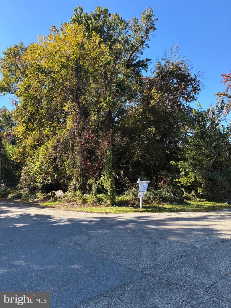 Bush Ave Property Photo 1