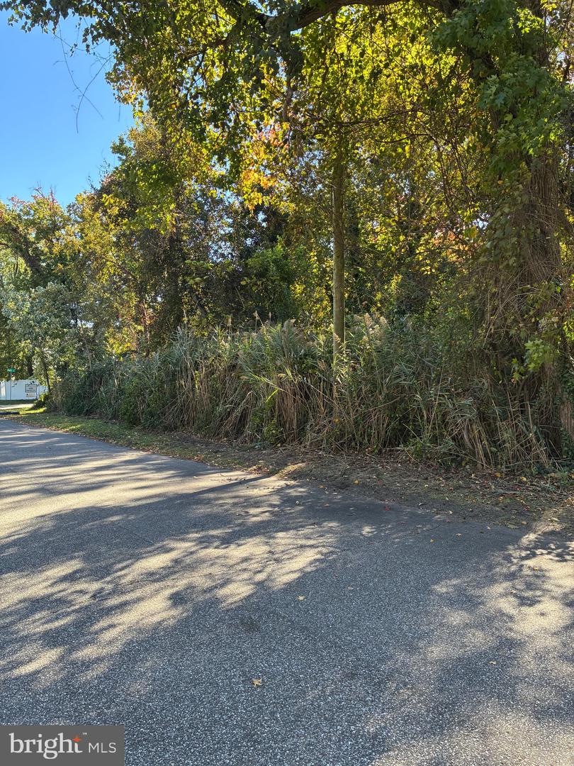 Bush Ave Property Photo 2