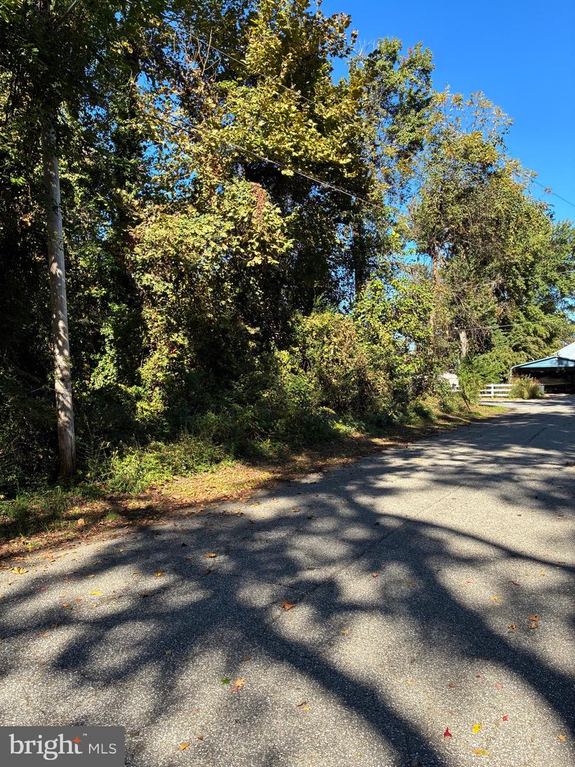 Bush Ave Property Photo 3
