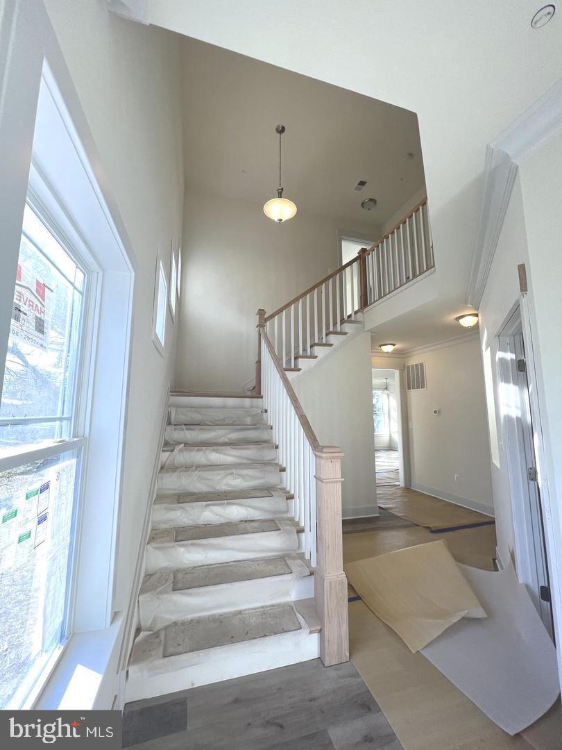 1217 Hampton Rd Property Photo 19
