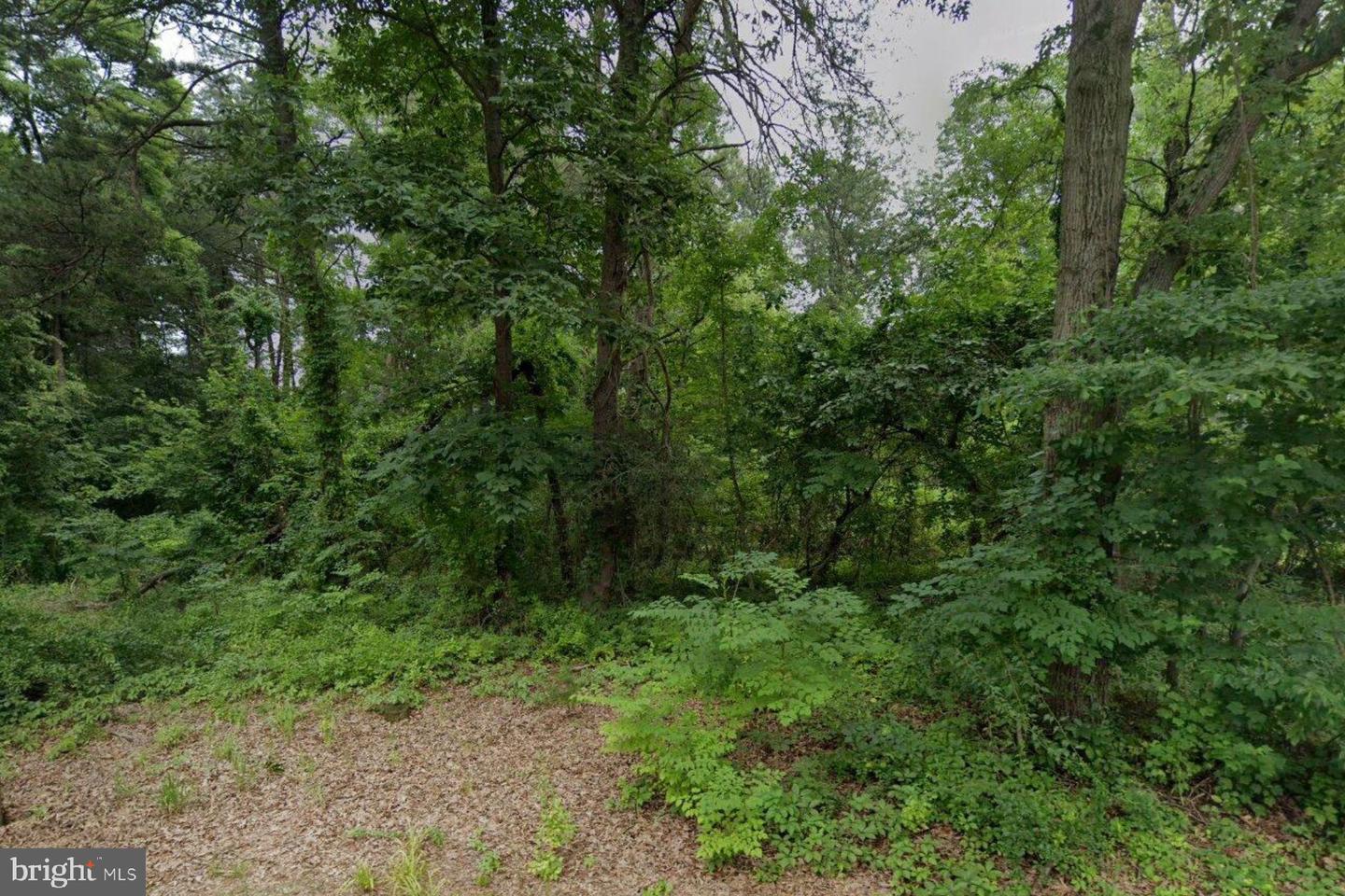 5 Gene Ave Property Photo 2