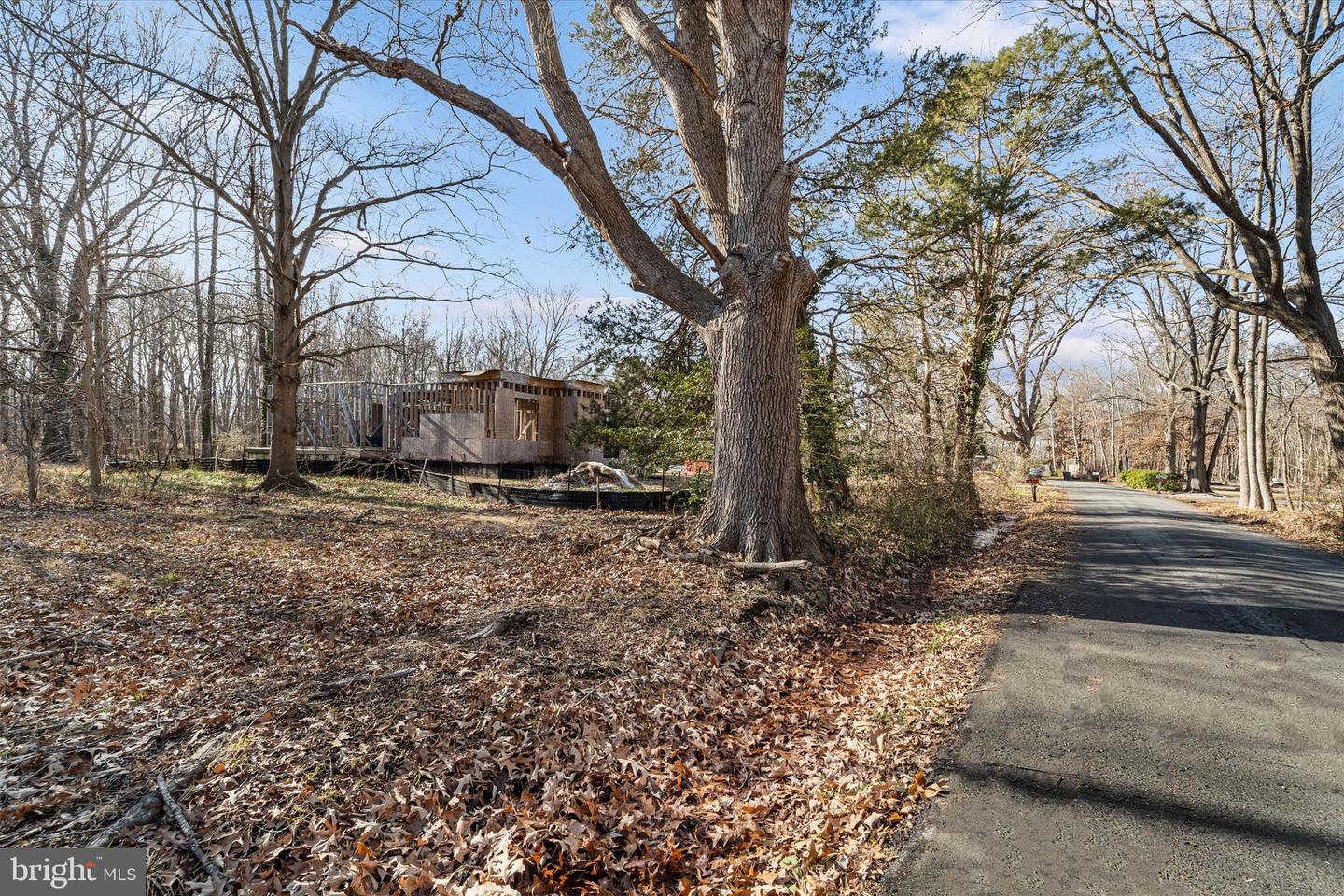 1451 Shady Rest Rd Property Photo 6