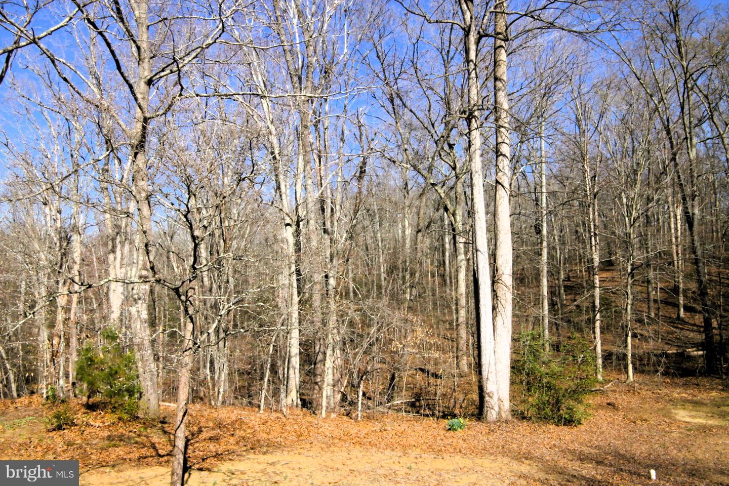 4695 Sands Rd Property Photo 47
