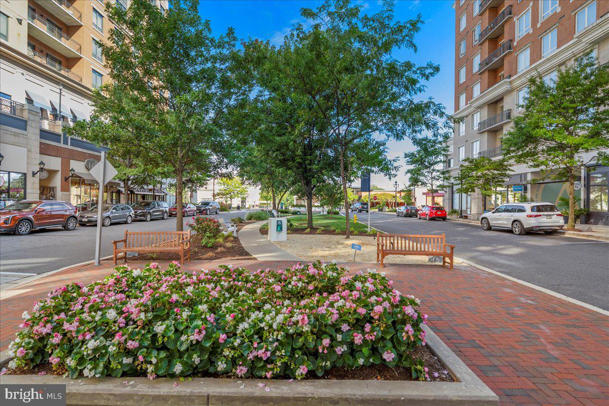 1915 Towne Centre Blvd #502 Property Photo 20