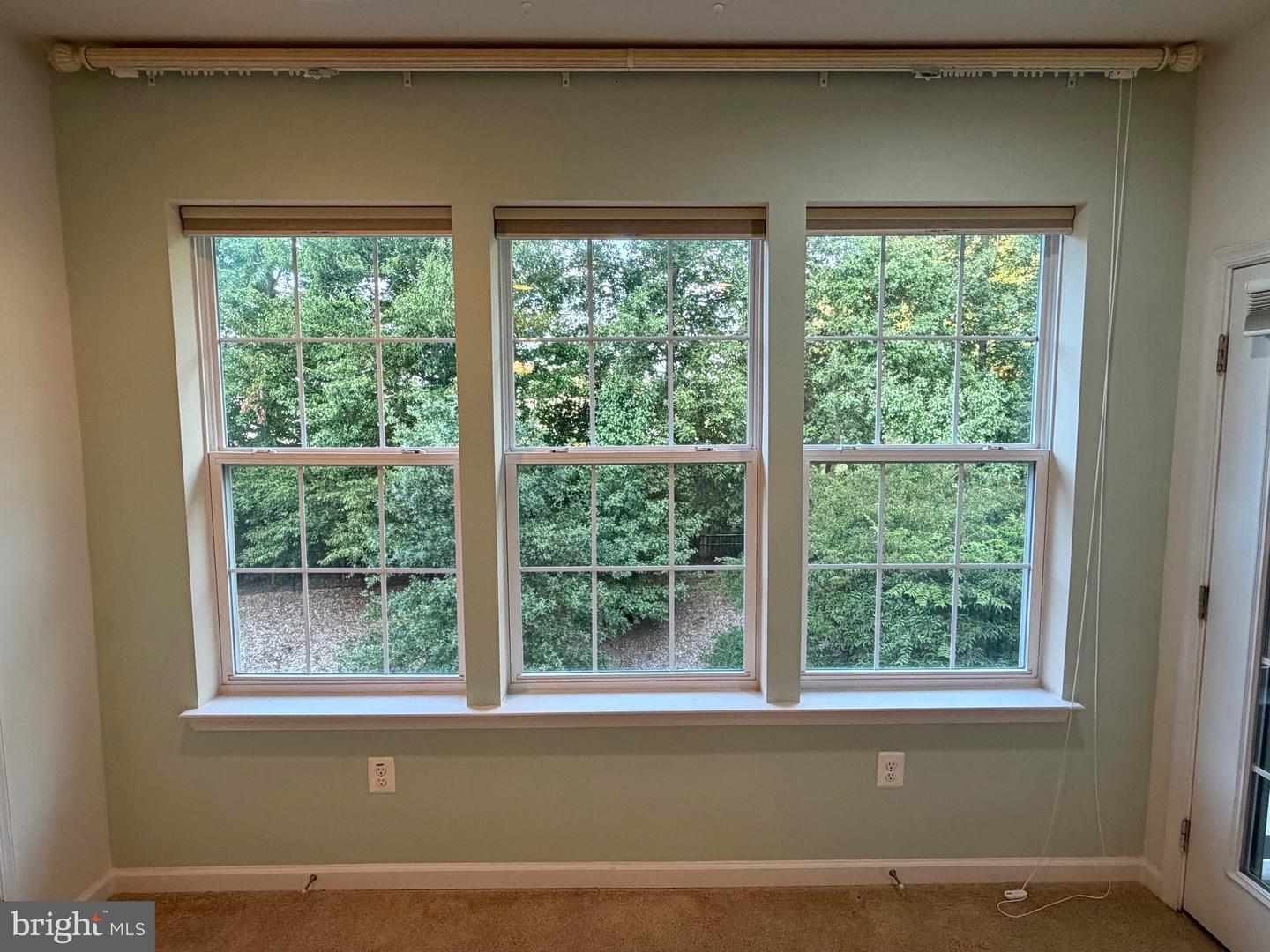 1406 Wigeon Way #303 Property Photo 18