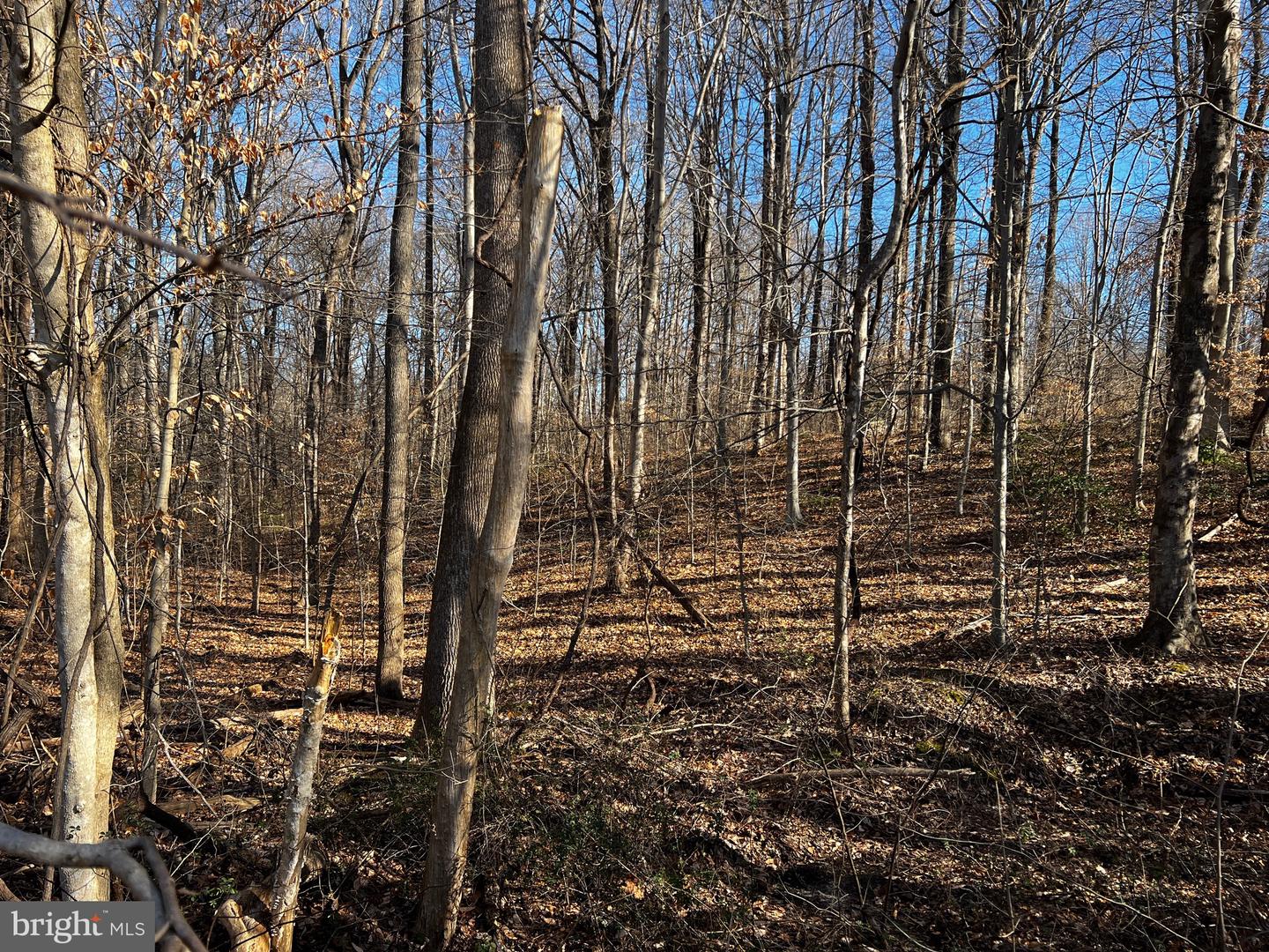 6299 Mckendree Rd Property Photo 2