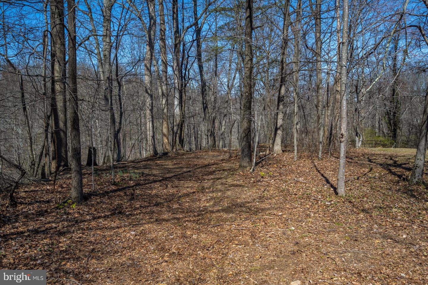 1118 Gumbottom Rd Property Photo 45
