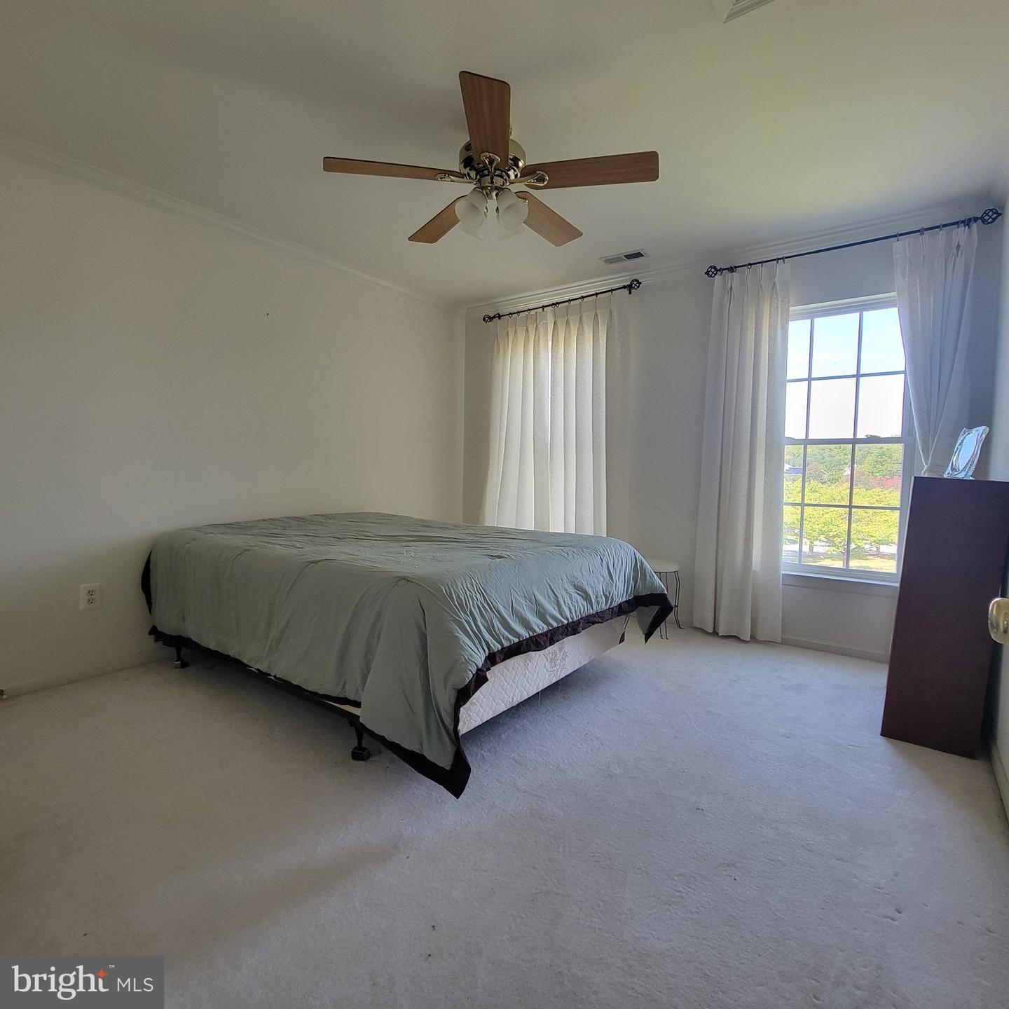 811 Lamoka Dr Property Photo 35