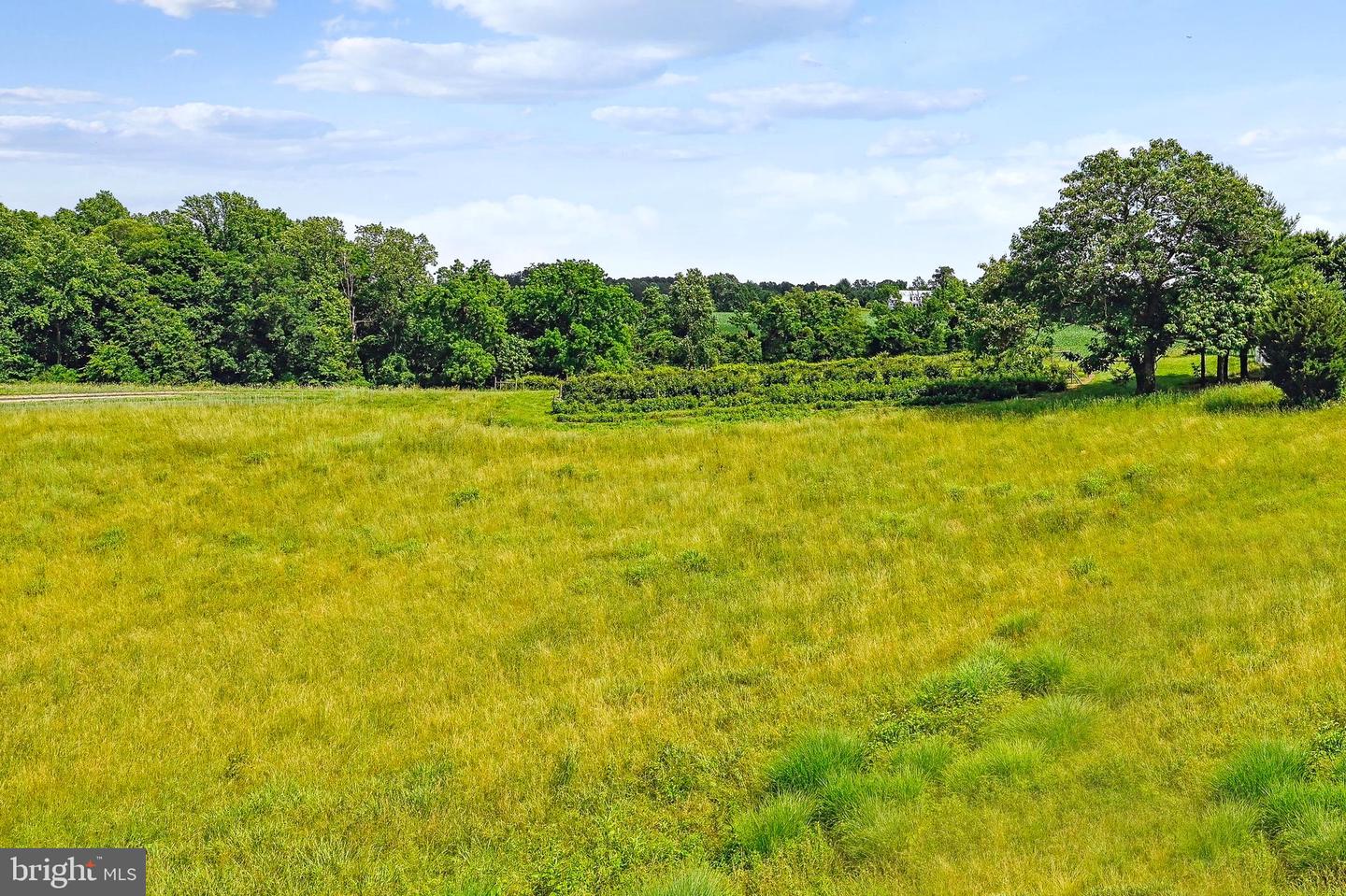 4475 Muddy Creek Rd Property Photo 33