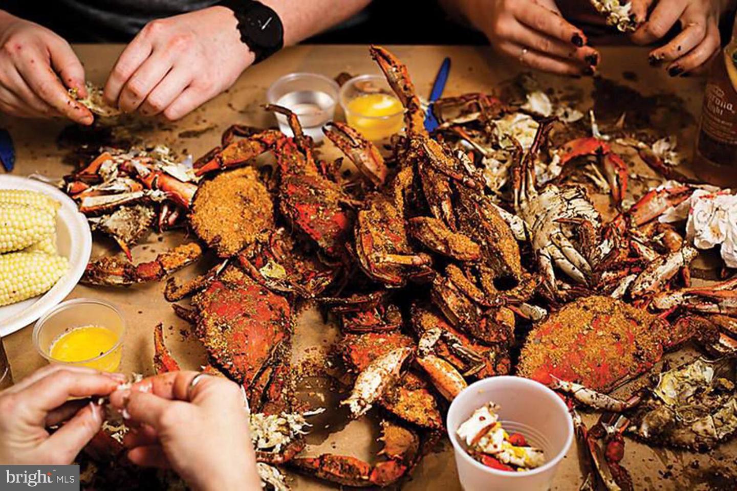 4475 Muddy Creek Rd Property Photo 54
