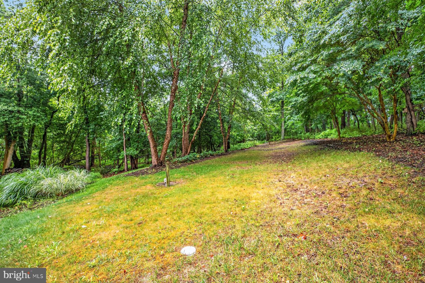 184 Hickory Point Rd Property Photo 50
