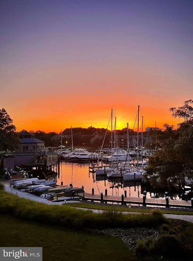 7036 Harbour Village Ct #t1 Property Photo 43