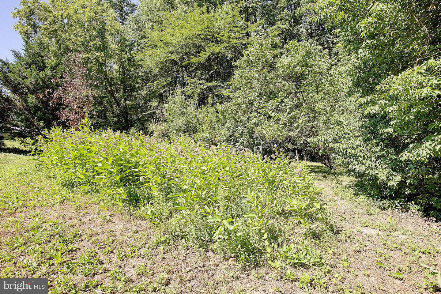 6664 Old Solomons Rd Property Photo 37