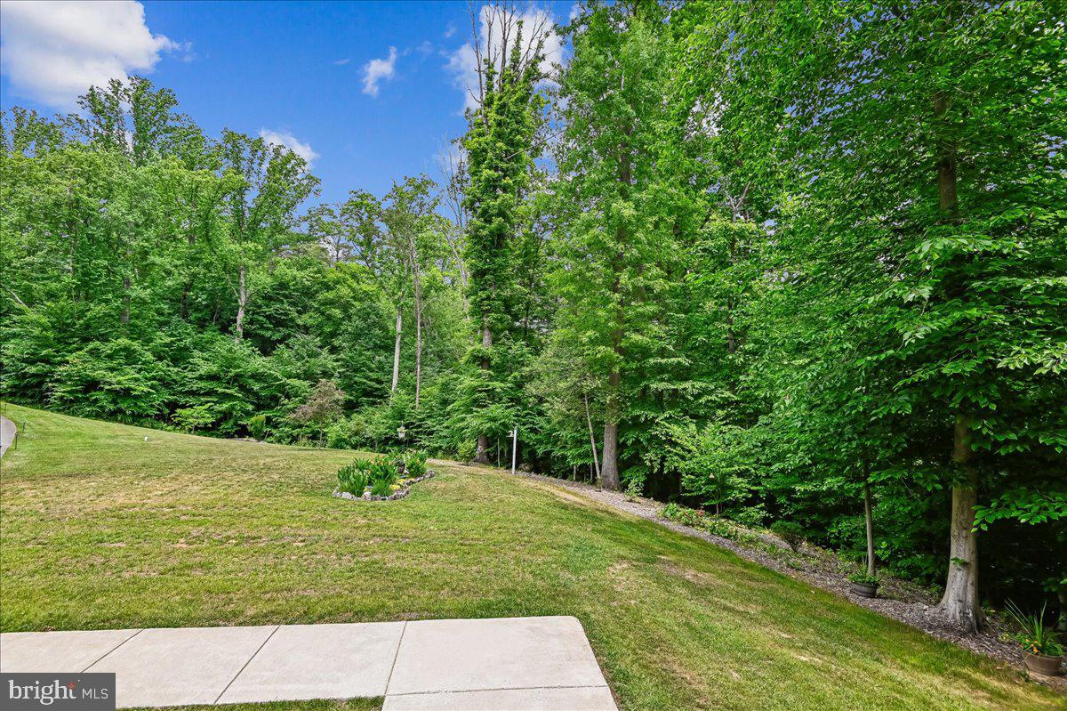 1457 Gilbert Rd Property Photo 72